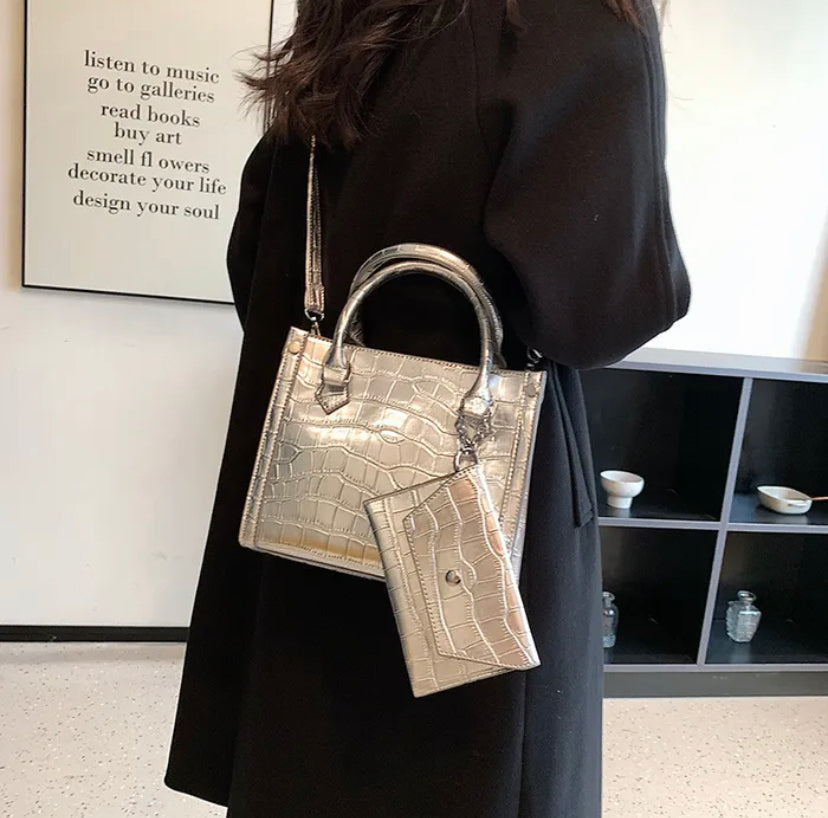 Incredible Metallic leather Bag